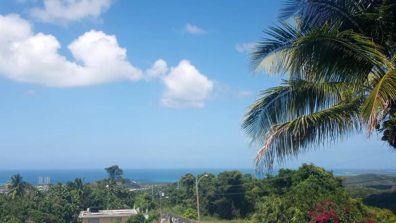 Lodge Million Dollar View In Puerto Rico Villa Luquillo