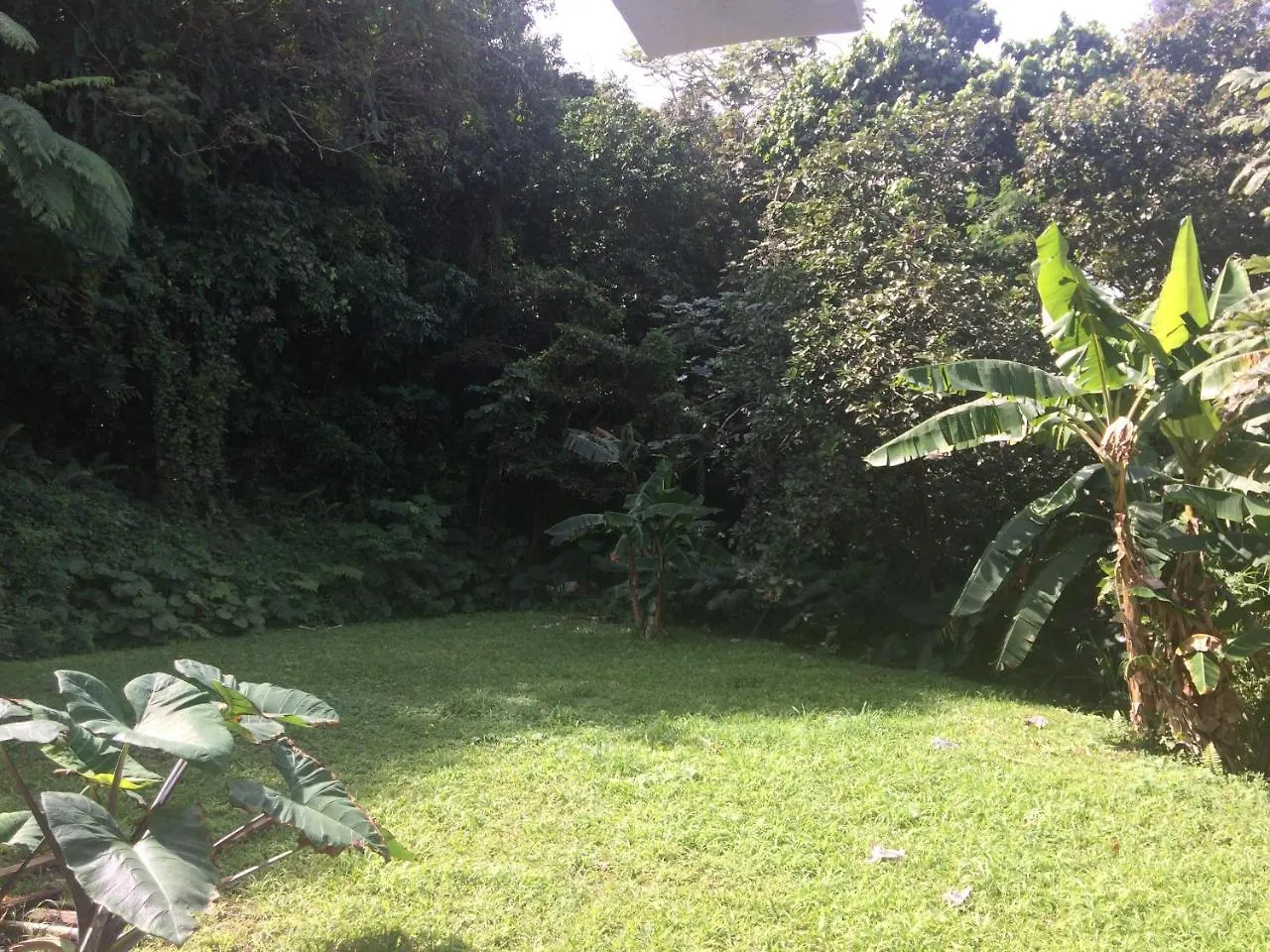 Million Dollar View In Puerto Rico Villa Luquillo Lodge