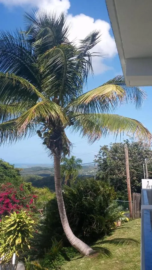 Lodge Million Dollar View In Puerto Rico Villa Luquillo Puerto Rico